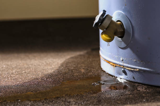 Local water damage restoration in Enumclaw, WA