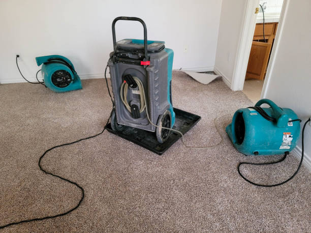  Enumclaw, WA Water damage restoration Pros