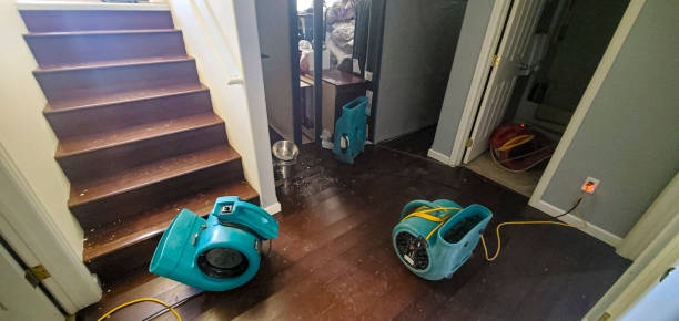 Best Water damage restoration near me  in Enumclaw, WA