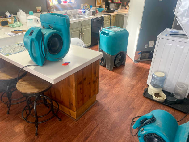 Best Sewage cleanup and water damage restoration  in Enumclaw, WA