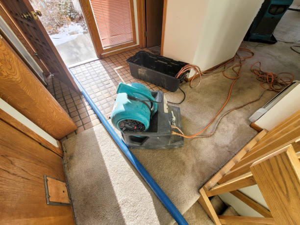 Best Water damage cleanup near me  in Enumclaw, WA