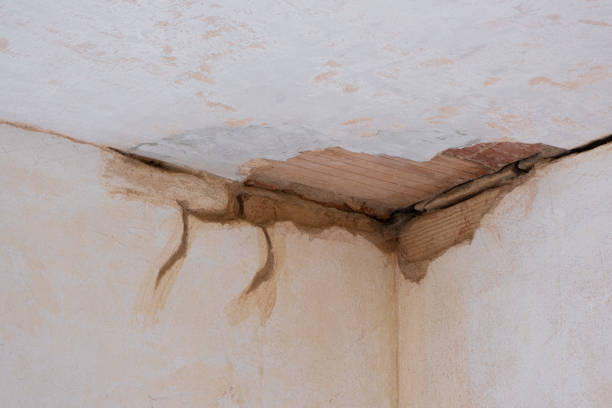Best Local water damage restoration  in Enumclaw, WA
