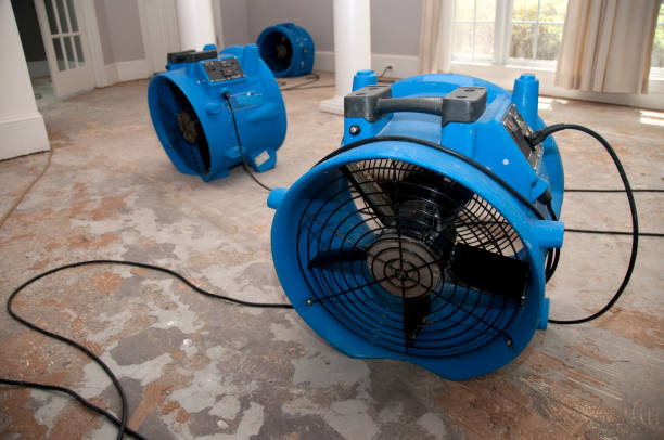Best Flooded house restoration  in Enumclaw, WA
