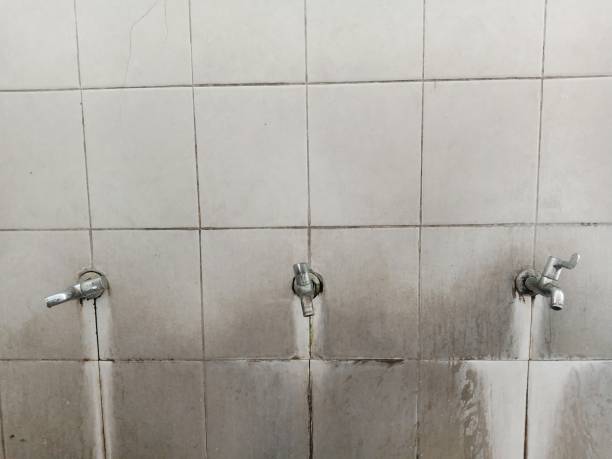 Best Residential water damage restoration  in Enumclaw, WA