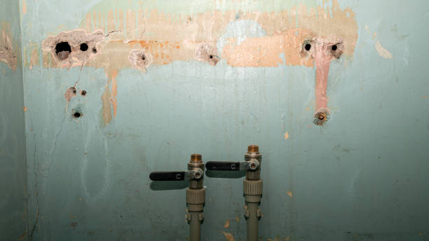 Best Fire Damage Restoration  in Enumclaw, WA
