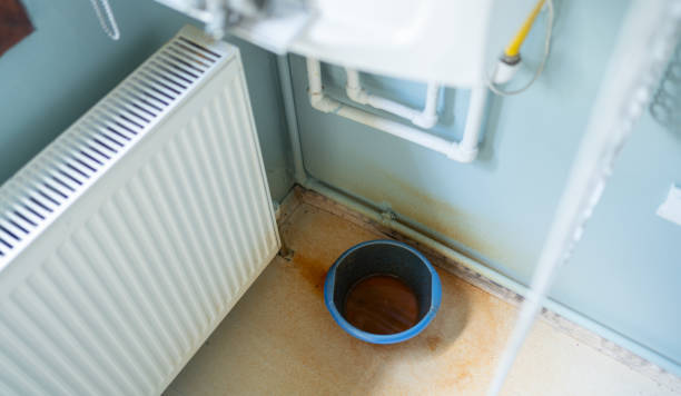 Best Carpet water damage restoration  in Enumclaw, WA