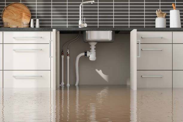 Best Water damage restoration near me  in Enumclaw, WA