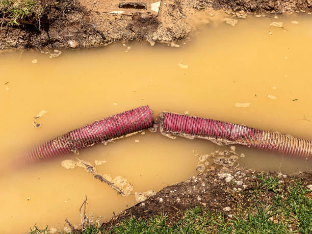 Best 24-hour water damage restoration  in Enumclaw, WA