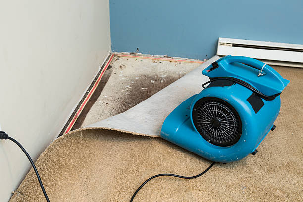 Best 24/7 water damage repair  in Enumclaw, WA